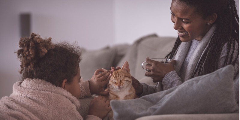 heat pump vs air conditioner